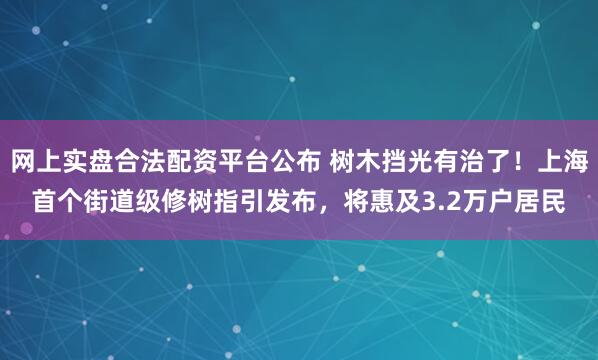 网上实盘合法配资平台公布 树木挡光有治了！上海首个街道级修树指引发布，将惠及3.2万户居民