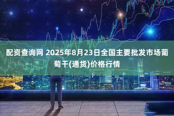 配资查询网 2025年8月23日全国主要批发市场葡萄干(通货)价格行情